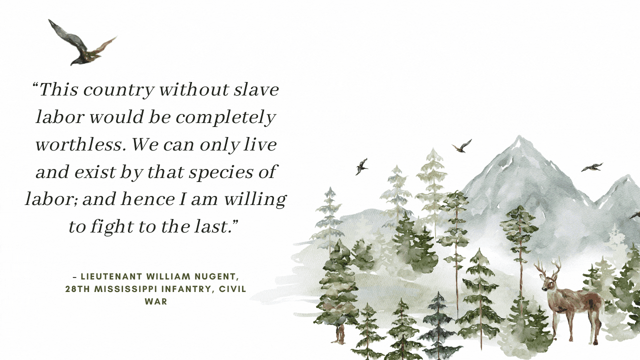 "This country without slave labor would be completely worthless," William Nugent, a lieutenant with a Mississippi regiment, wrote to his wife in 1863. "We can only live & exist by that species of labor: and hence I am willing to fight to the last."